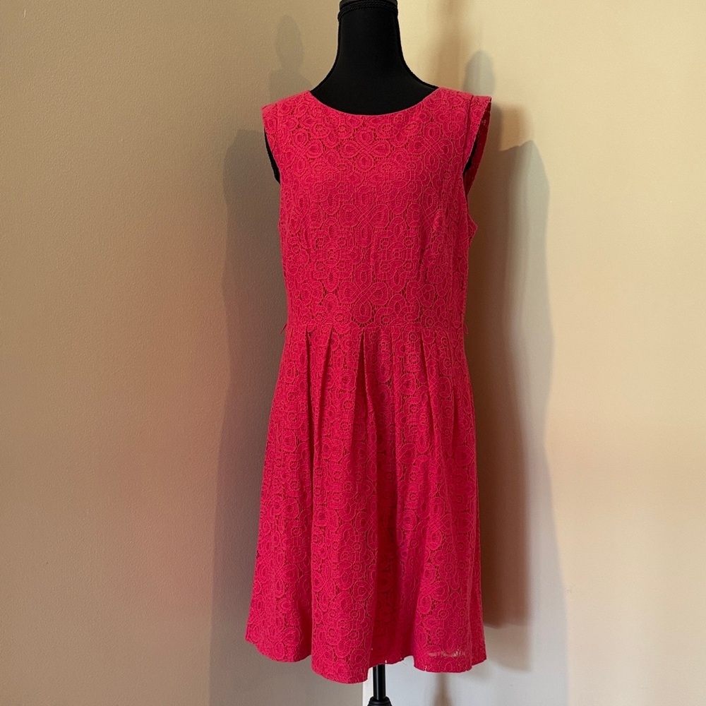 Rabbit Rabbit Rabbit Fuchsia Lace Mini Dress